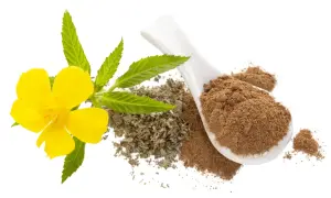 Gelbe Blüte mit Blättern, getrockneten Kräutern und Pulver auf einem Löffel. Die Damiana Wirkung wird oft mit diesen Bestandteilen assoziiert.