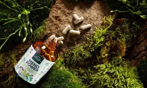 Braune Kapsel-Flasche mit "Meno Power" und Rotklee-Symbolen, umgeben von Moos und Steinen. Hilft bei der Bewältigung von Wechseljahrsbeschwerden, einschließlich möglicher Gewichtszunahme.