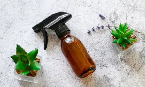 Braune Sprühflasche mit Aloe Vera, Lavendel und Sukkulenten – ideal, um dein eigenes Aloe Vera Spray selber zu machen.