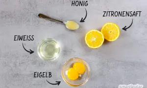 Zutaten für eine natürliche Haarpflege: Eiweiß, Eigelb, Honig und Zitronensaft. Perfekt, um die Haare mit Ei zu waschen!