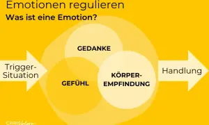 Diagramm zeigt, wie Gefühle, Gedanken und Körperempfindungen zusammenspielen. So kann man lernen, wie gehe ich mit Wut um.