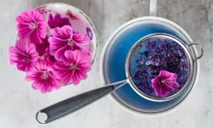 Malvenblüten in einem Sieb über blauem Tee. Frische Malvenblüten liegen daneben. Die **Malve Wirkung Psyche** kann durch diesen beruhigenden Tee unterstützt werden.
