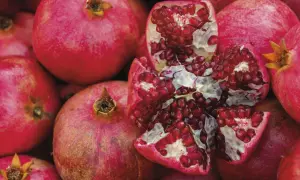Ein aufgeschnittener Granatapfel mit vielen roten Kernen, umgeben von ganzen Früchten. Manche Menschen reagieren empfindlich auf Histamin, das auch im Granatapfel vorkommt.