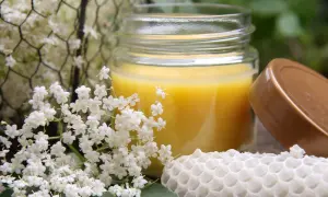 Ein Glas mit selbstgemachter Handcreme, umgeben von Holunderblüten und einem Stück Wabe.