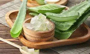 Frische Aloe Vera Blätter und das gewonnene Gel in einer Holzschale – so kann man Aloe Vera Gel herstellen.