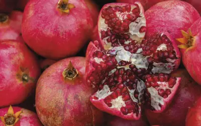 Ein aufgeschnittener Granatapfel mit vielen roten Kernen, umgeben von ganzen Früchten. Manche Menschen reagieren empfindlich auf Histamin, das auch im Granatapfel vorkommt.