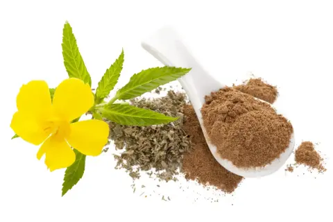 Gelbe Blüte mit Blättern, getrockneten Kräutern und Pulver auf einem Löffel. Die Damiana Wirkung wird oft mit diesen Bestandteilen assoziiert.