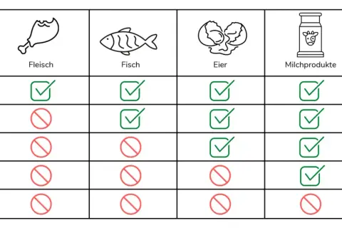 Tabelle zeigt, was eine omnivore Ernährung bedeutet: Fleisch, Fisch, Eier, Milchprodukte und pflanzliche Lebensmittel sind erlaubt.