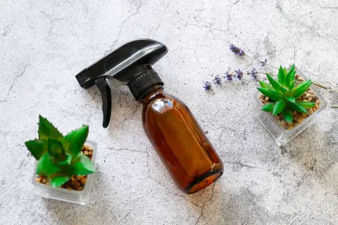 Braune Sprühflasche mit Aloe Vera, Lavendel und Sukkulenten – ideal, um dein eigenes Aloe Vera Spray selber zu machen.