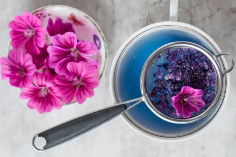 Malvenblüten in einem Sieb über blauem Tee. Frische Malvenblüten liegen daneben. Die **Malve Wirkung Psyche** kann durch diesen beruhigenden Tee unterstützt werden.