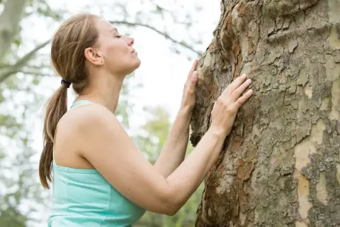 Frau umarmt einen Baum, um achtsam zu sein und die Natur zu spüren.