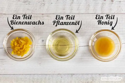 Zutaten für honig creme selber machen: Bienenwachs-Pellets, Pflanzenöl und flüssiger Honig in drei Schalen.