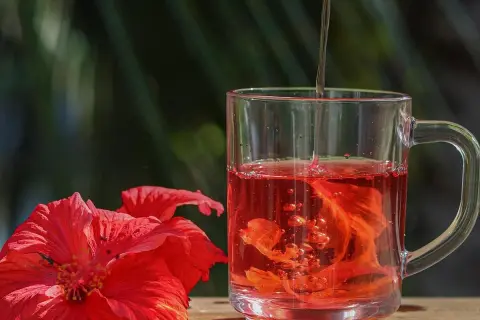 Ein Glas Hibiskustee, der helfen kann, welcher Tee senkt Cholesterin und Blutdruck, neben roten Hibiskusblüten.