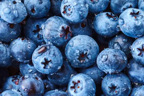 Frische Heidelbeeren mit Wassertropfen, bereit für süße Leckereien.