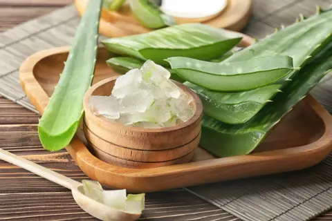 Frische Aloe Vera Blätter und das gewonnene Gel in einer Holzschale – so kann man Aloe Vera Gel herstellen.