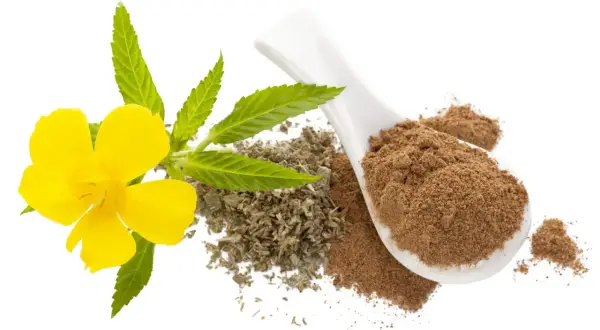 Gelbe Blüte mit Blättern, getrockneten Kräutern und Pulver auf einem Löffel. Die Damiana Wirkung wird oft mit diesen Bestandteilen assoziiert.