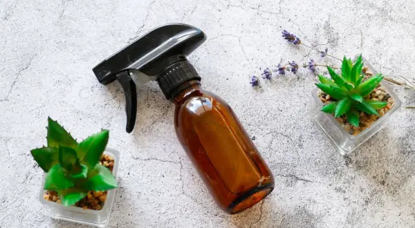 Braune Sprühflasche mit Aloe Vera, Lavendel und Sukkulenten – ideal, um dein eigenes Aloe Vera Spray selber zu machen.