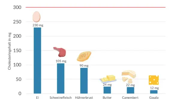 Balkendiagramm zeigt Cholesteringehalt verschiedener Lebensmittel. Butter pro 10g enthält 24mg Cholesterin.