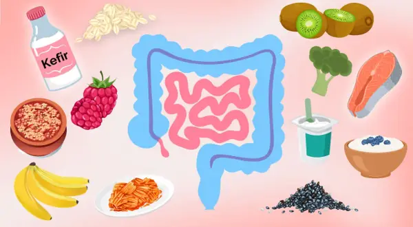 Bilder von Kefir, Haferflocken, Beeren, Bananen, Kimchi, Kiwi, Brokkoli, Lachs, Joghurt und Chiasamen, die verdauungsfördernde Lebensmittel darstellen.