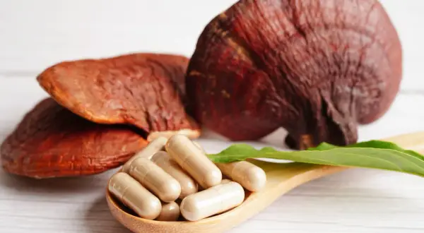 Reishi-Pilze und Kapseln auf einem Holzlöffel. Die Reishi-Wirkung auf die Psyche wird oft durch solche Präparate unterstützt.