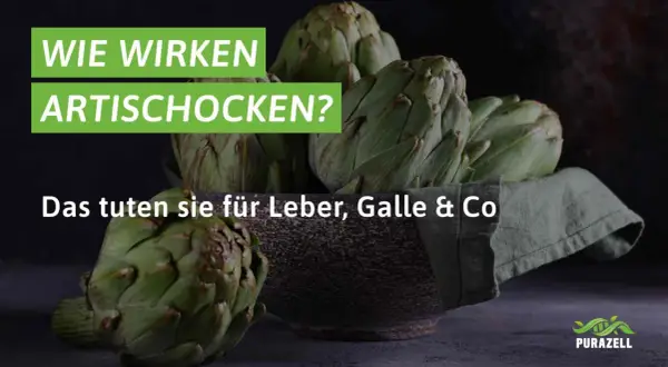 Frische Artischocken in einer Schale. Der Text fragt: "Wie wirken Artischocken?" und erklärt die artischockenextrakt wirkung für Leber und Galle.