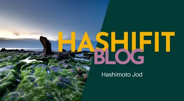 HashiFit Blog: Hashimoto Jod. Küstenlandschaft mit moosbewachsenen Felsen und dem Meer im Hintergrund.