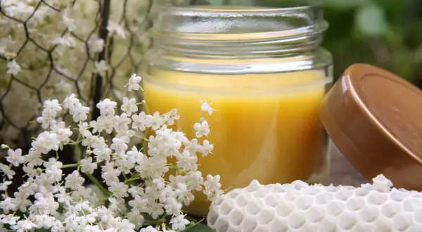 Ein Glas mit selbstgemachter Handcreme, umgeben von Holunderblüten und einem Stück Wabe.