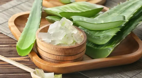 Frische Aloe Vera Blätter und das gewonnene Gel in einer Holzschale – so kann man Aloe Vera Gel herstellen.