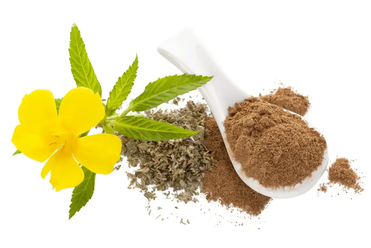 Gelbe Blüte mit Blättern, getrockneten Kräutern und Pulver auf einem Löffel. Die Damiana Wirkung wird oft mit diesen Bestandteilen assoziiert.