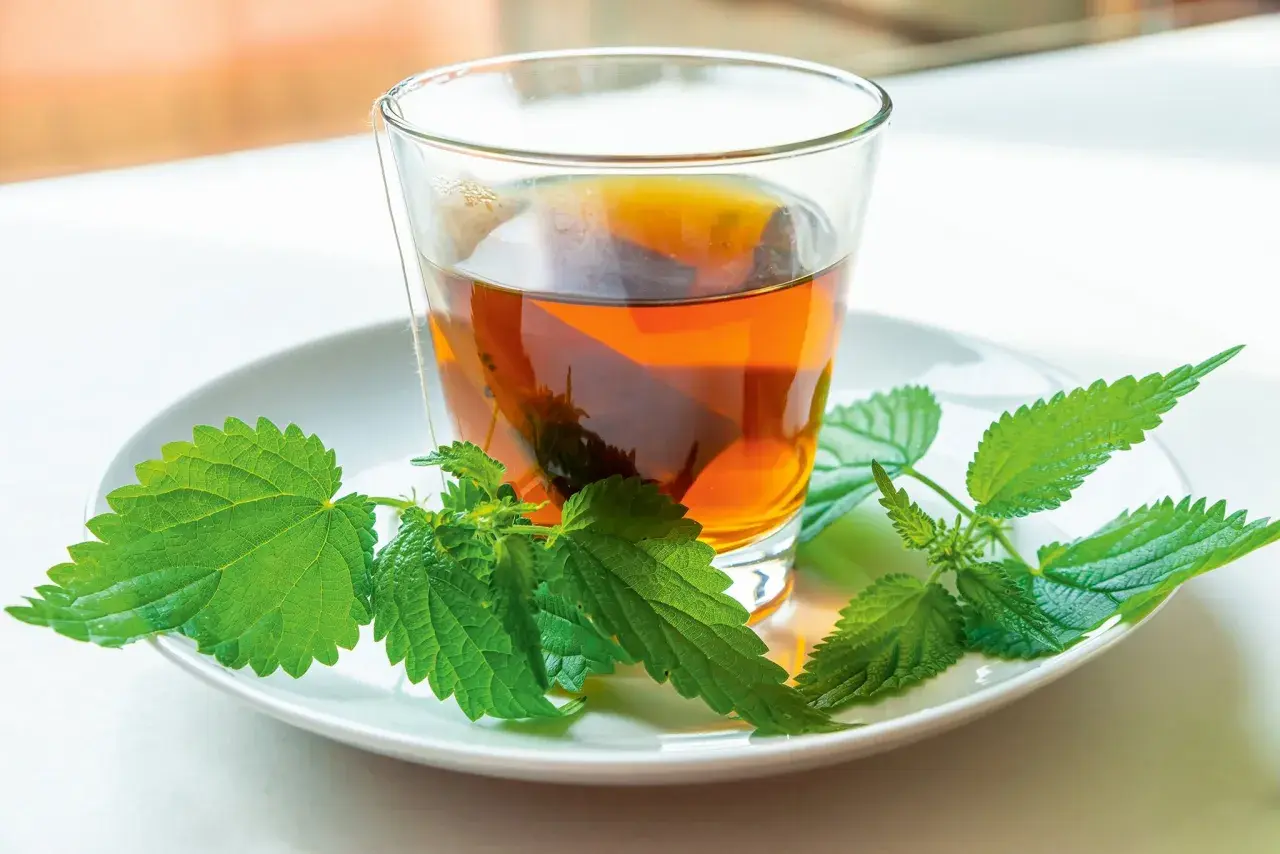 Ein Glas Brennnesseltee mit frischen Brennnesselblättern auf einem Teller. Die Brennnessel verwendung als Tee ist bekannt für ihre gesundheitlichen Vorteile.