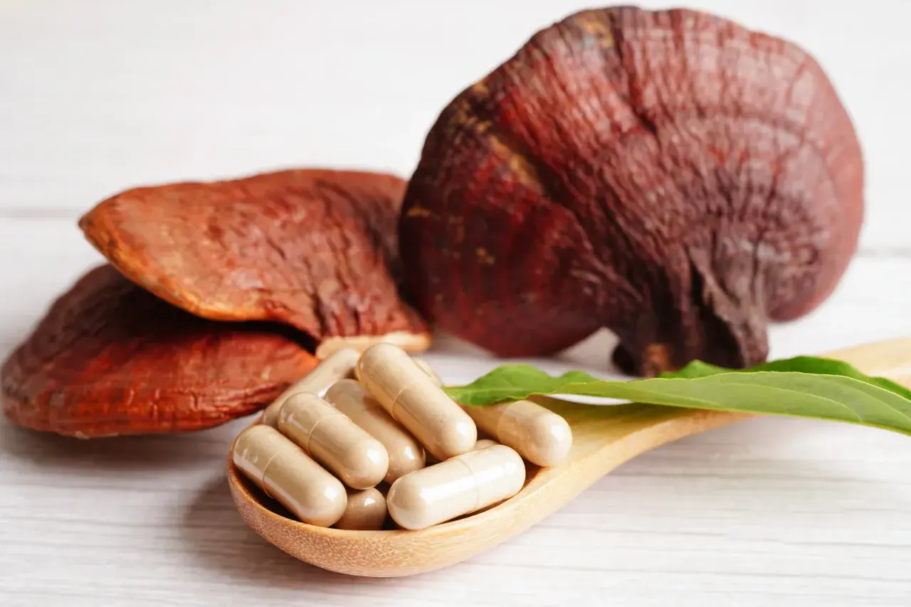 Reishi-Pilze und Kapseln auf einem Holzlöffel. Die Reishi-Wirkung auf die Psyche wird oft durch solche Präparate unterstützt.