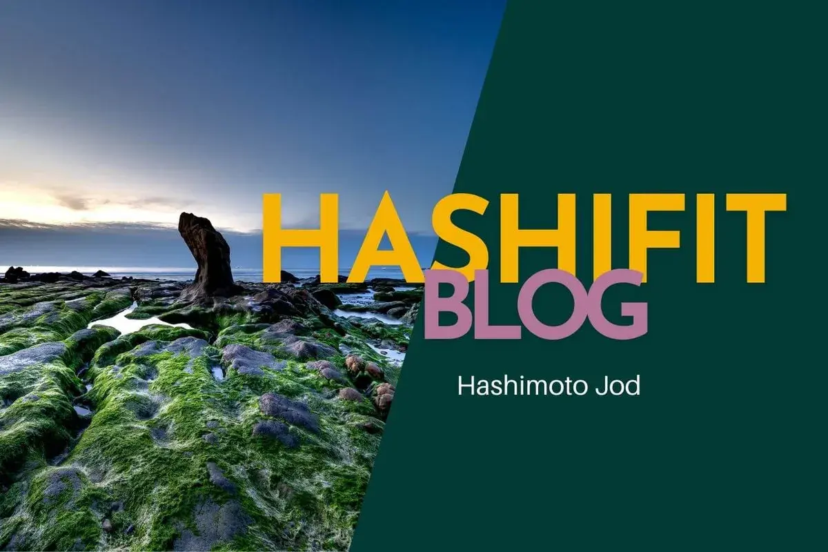 HashiFit Blog: Hashimoto Jod. Küstenlandschaft mit moosbewachsenen Felsen und dem Meer im Hintergrund.