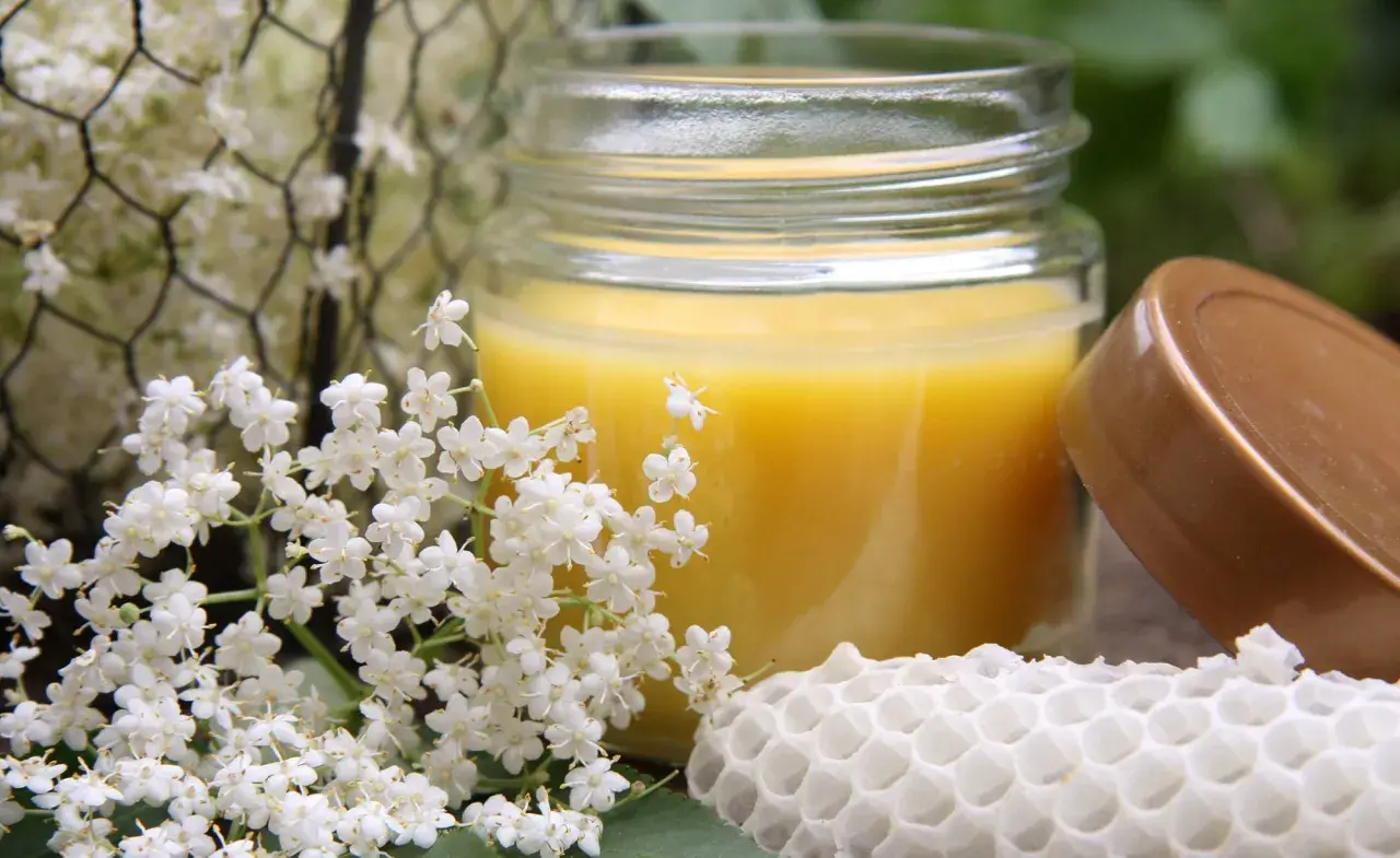 Ein Glas mit selbstgemachter Handcreme, umgeben von Holunderblüten und einem Stück Wabe.