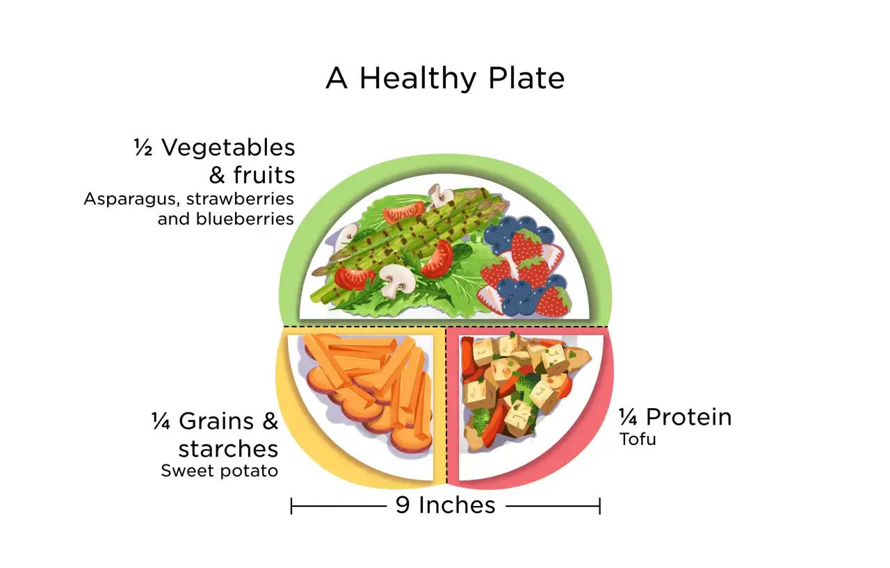 Ein gesunder Teller zeigt, wie funktioniert trennkost: &frac12; Gem&uuml;se/Obst, &frac14; Kohlenhydrate, &frac14; Protein.