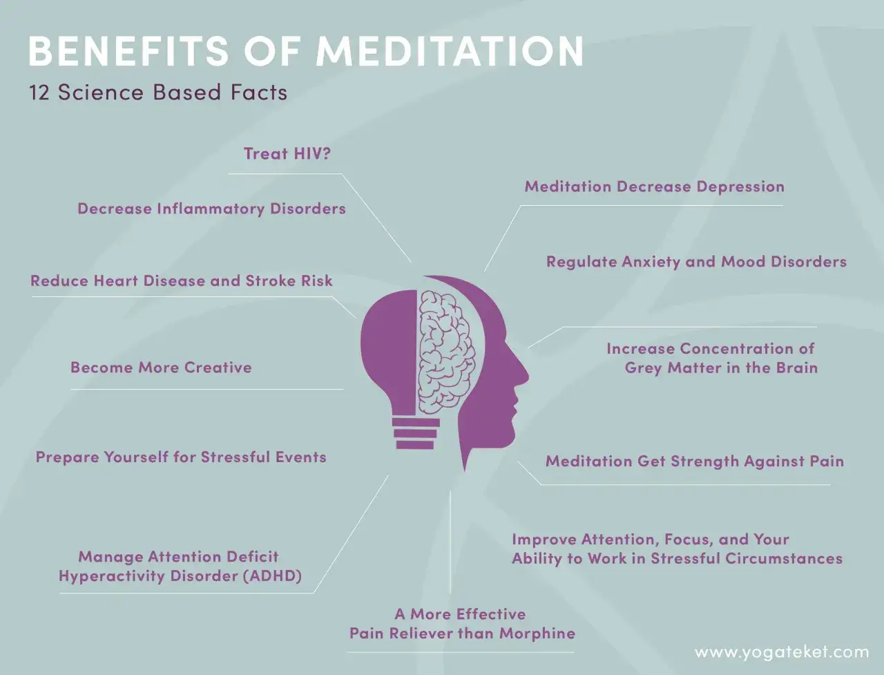 Grafik zeigt Vorteile von Meditation laut Studien: weniger Depressionen, Angst, Entz&uuml;ndungen. Verbessert Fokus, Kreativit&auml;t, Schmerztoleranz.