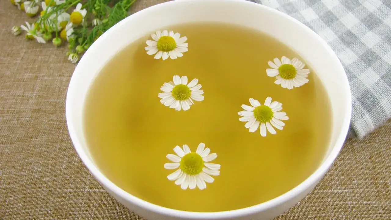 Schale mit Kamillentee und Kamillenblüten, daneben Kamillenblütenzweige.