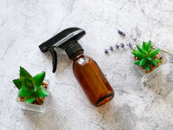 Braune Sprühflasche mit Aloe Vera, Lavendel und Sukkulenten – ideal, um dein eigenes Aloe Vera Spray selber zu machen.