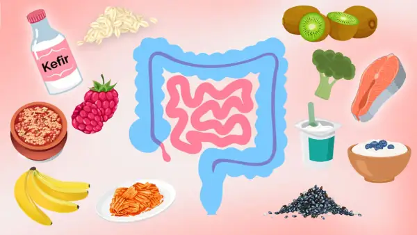 Bilder von Kefir, Haferflocken, Beeren, Bananen, Kimchi, Kiwi, Brokkoli, Lachs, Joghurt und Chiasamen, die verdauungsfördernde Lebensmittel darstellen.