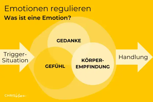 Diagramm zeigt, wie Gefühle, Gedanken und Körperempfindungen zusammenspielen. So kann man lernen, wie gehe ich mit Wut um.