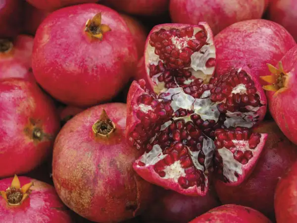 Ein aufgeschnittener Granatapfel mit vielen roten Kernen, umgeben von ganzen Früchten. Manche Menschen reagieren empfindlich auf Histamin, das auch im Granatapfel vorkommt.