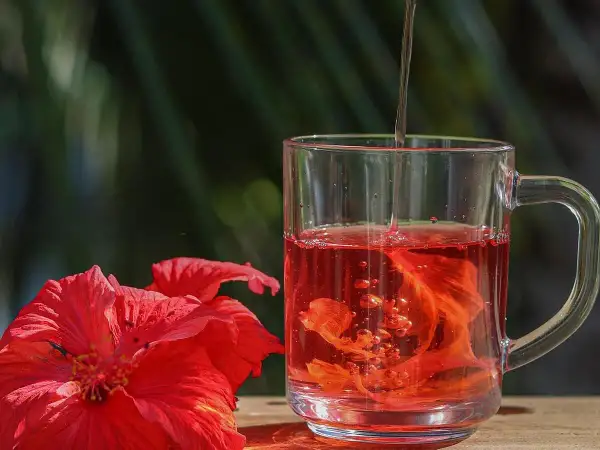 Ein Glas Hibiskustee, der helfen kann, welcher Tee senkt Cholesterin und Blutdruck, neben roten Hibiskusblüten.